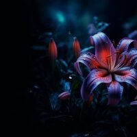 blog_skin_zinest_01-1200x800