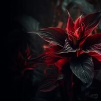 blog_skin_zinest_02-1200x800